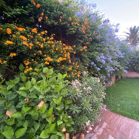 Apartamento Jardin Sanlucar Sanlúcar de Barrameda Exterior photo
