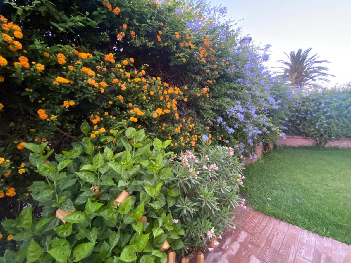 Apartamento Jardin Sanlucar Sanlúcar de Barrameda Exterior photo